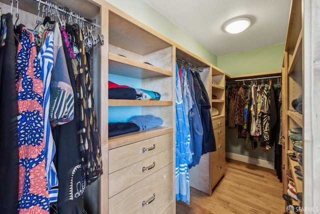 walk in closet featuring wood finished floors