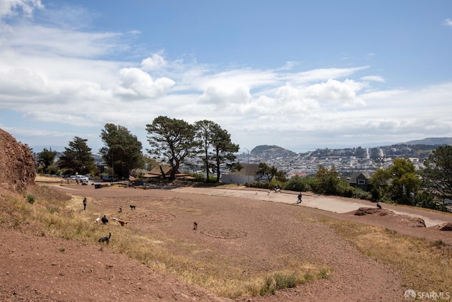 view of yard featuring a mountain view