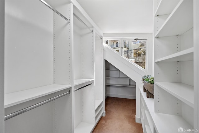 spacious closet featuring carpet floors