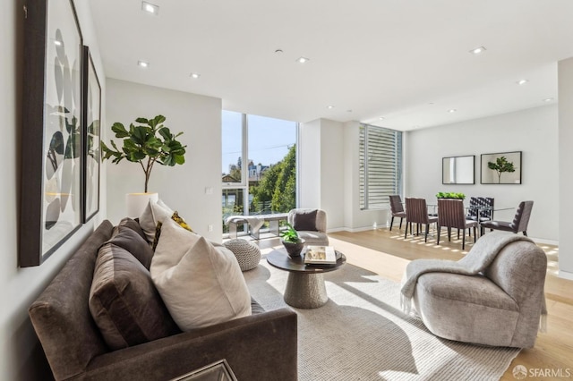 living room featuring light hardwood / wood-style floors