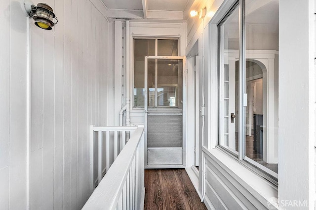 hall with wooden walls and dark hardwood / wood-style floors