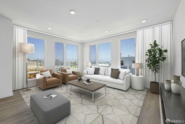 living room with light hardwood / wood-style flooring