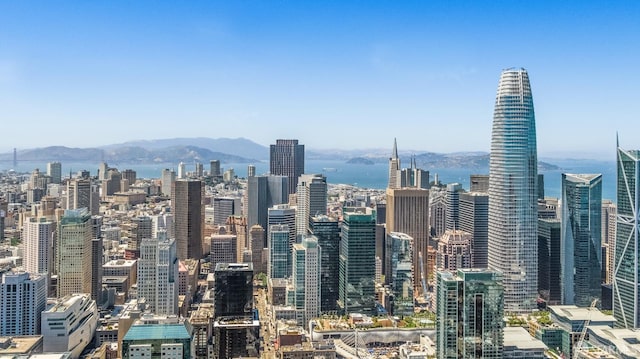 300 3rd St Unit 311, San Francisco, CA 94107 - photo 36