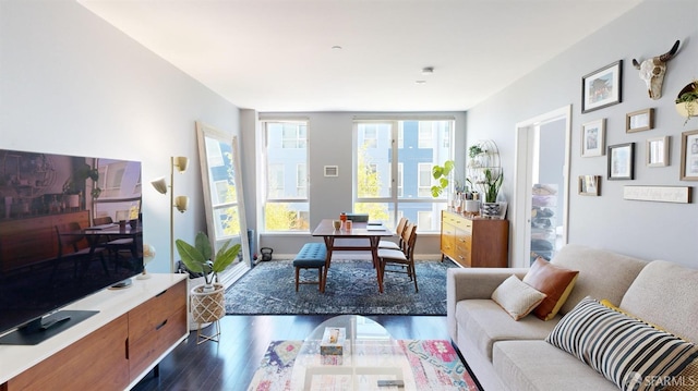 living room with dark wood-type flooring