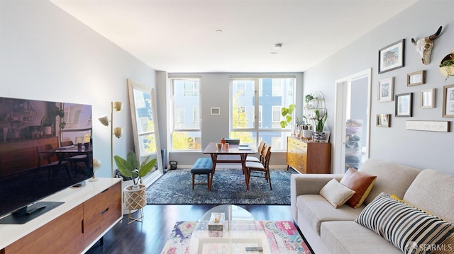 888 7th St Unit 234, San Francisco, CA 94107 - living room with dark wood-type flooring