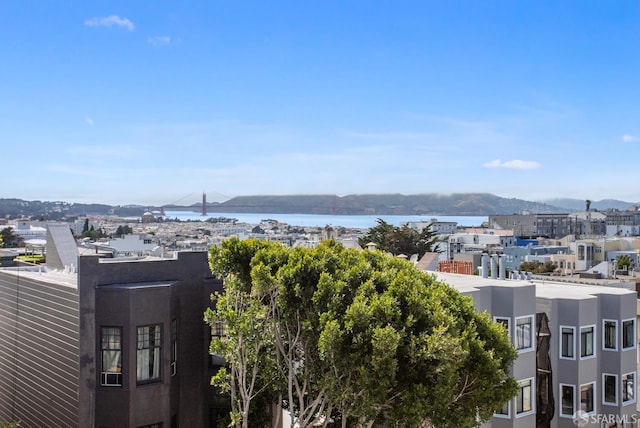 1396 Pacific Ave, San Francisco, CA 94123 - photo 34