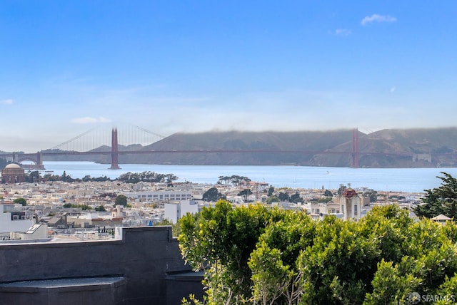1396 Pacific Ave, San Francisco, CA 94123 - photo 35
