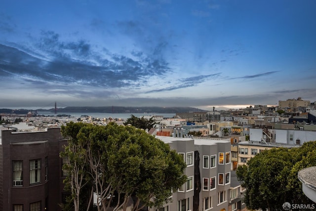 1396 Pacific Ave, San Francisco, CA 94123 - photo 38