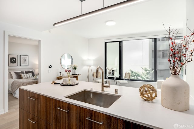 kitchen with dark brown cabinets, light hardwood / wood-style floors, and sink