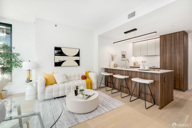 living room with light hardwood / wood-style floors and sink