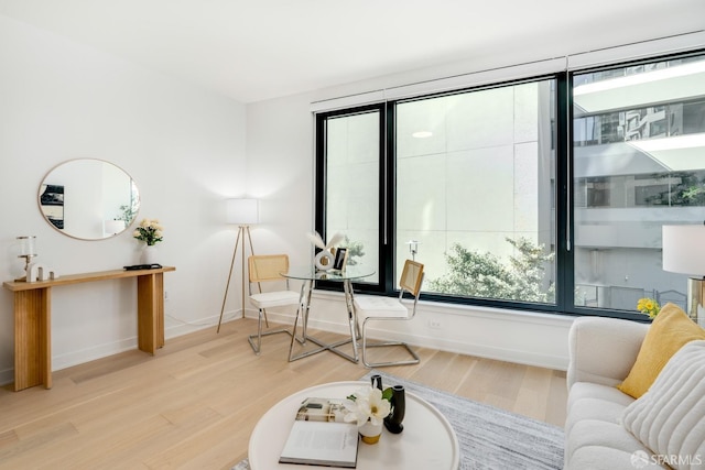 living area featuring hardwood / wood-style floors and a healthy amount of sunlight