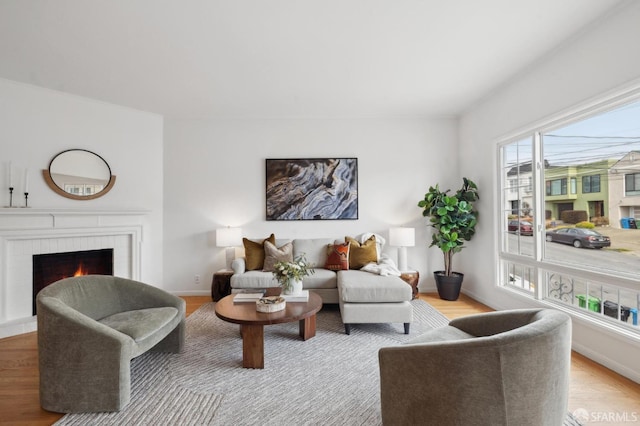 living room with a fireplace and light hardwood / wood-style flooring