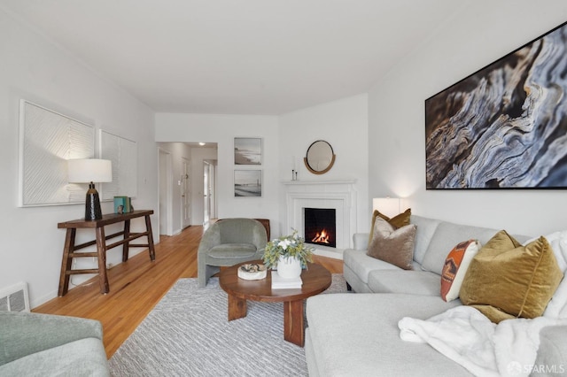 living room featuring wood-type flooring