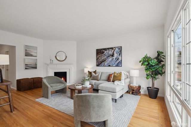 living room with hardwood / wood-style floors and a brick fireplace