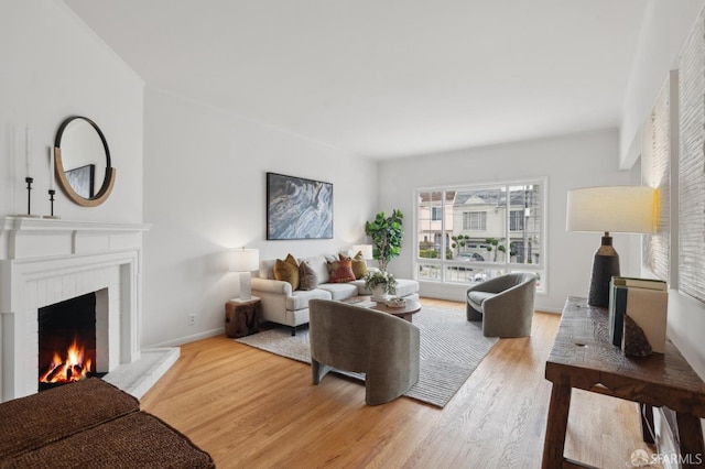 living room with a fireplace and light hardwood / wood-style floors