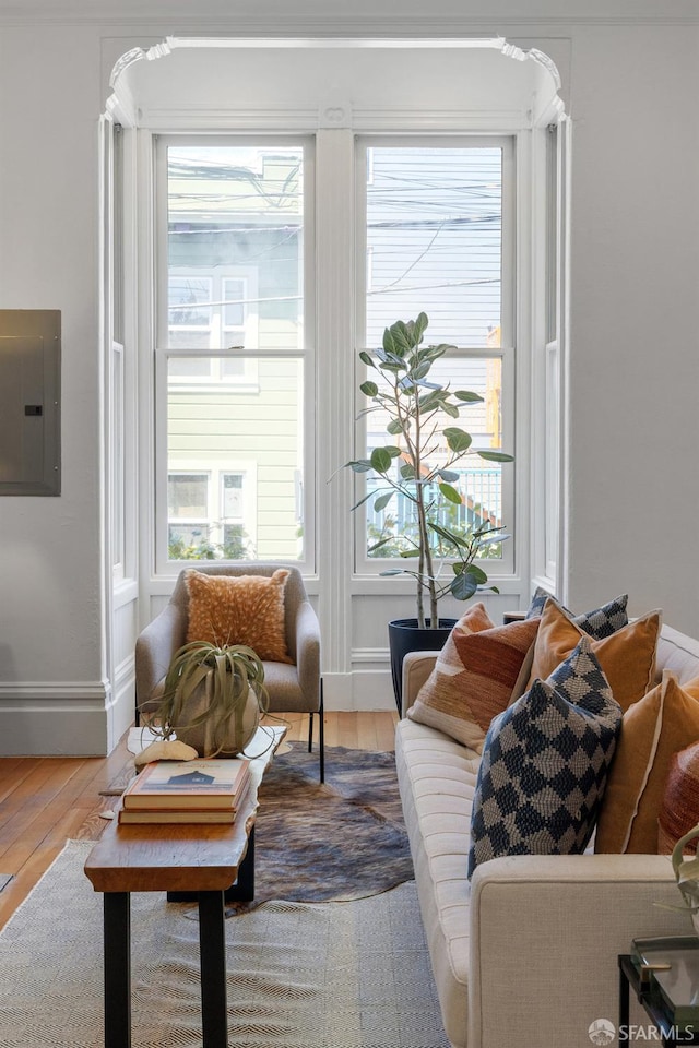 69 Pond St, San Francisco, CA 94114 - living area with electric panel and hardwood / wood-style floors