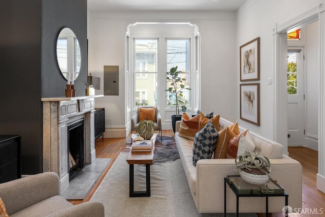 69 Pond St, San Francisco, CA 94114 - living room with wood finished floors, a high end fireplace, and electric panel