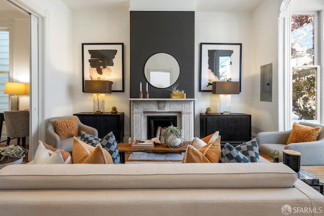 69 Pond St, San Francisco, CA 94114 - living room with electric panel and a fireplace