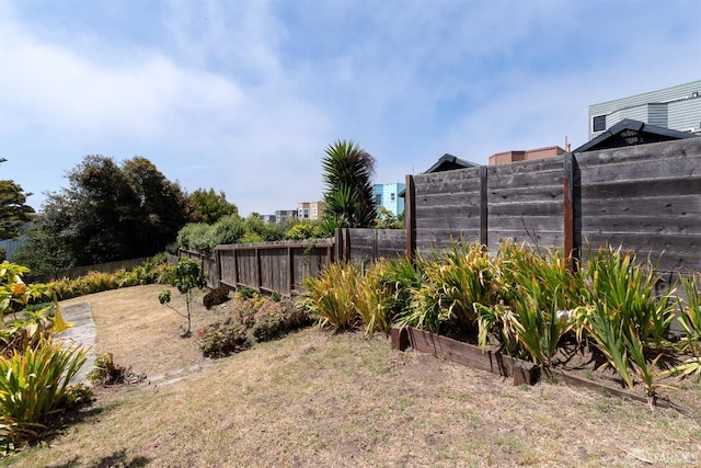 651 29th Ave, San Francisco, CA 94121 - view of yard