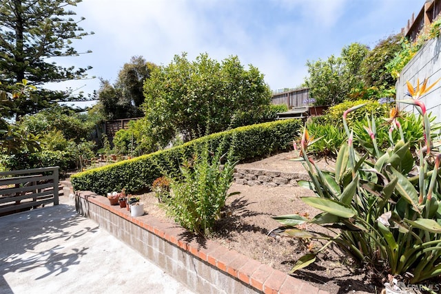 651 29th Ave, San Francisco, CA 94121 - view of yard