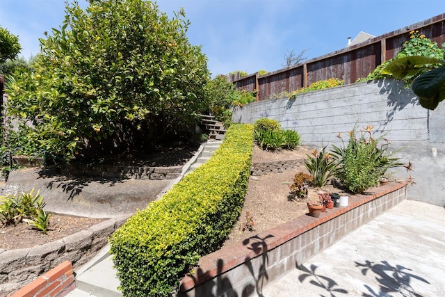 651 29th Ave, San Francisco, CA 94121 - view of yard
