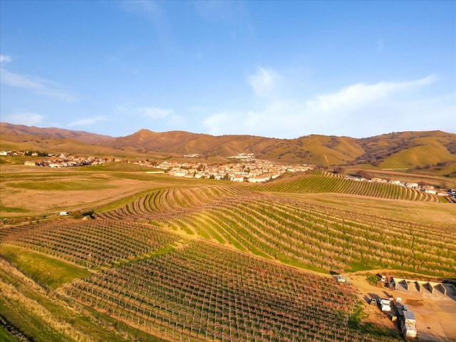 21051 Pinot Noir Dr, Patterson, CA 95363 - view of mountain backdrop with abundant farmland and rural landscape