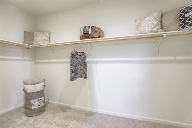 21051 Pinot Noir Dr, Patterson, CA 95363 - walk in closet with carpet flooring
