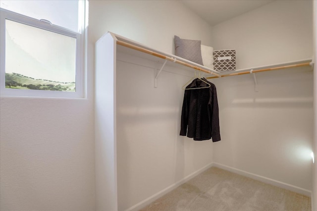 21051 Pinot Noir Dr, Patterson, CA 95363 - spacious closet featuring light colored carpet