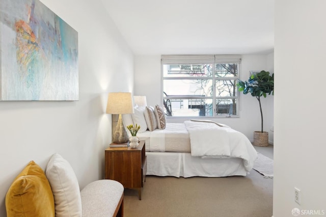 bedroom with carpet