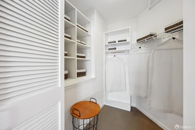 view of spacious closet