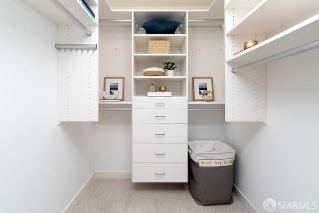 spacious closet with carpet floors