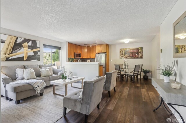 1140 Whipple Ave Unit 21, Redwood City, CA 94062 - living room with a textured ceiling and dark wood finished floors