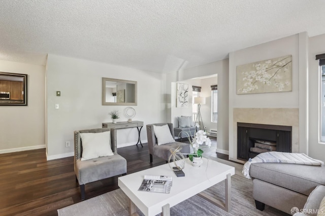 1140 Whipple Ave Unit 21, Redwood City, CA 94062 - living area featuring dark wood-style floors, a textured ceiling, baseboards, a baseboard radiator, and a fireplace