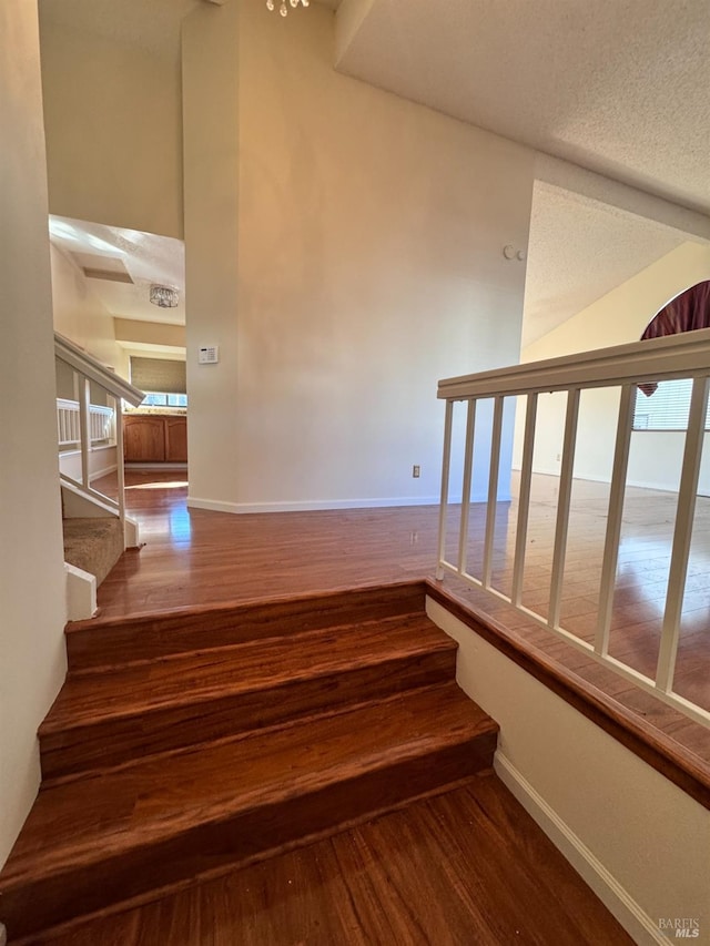 staircase featuring plenty of natural light and hardwood / wood-style floors