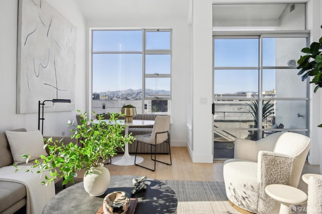 living room with light hardwood / wood-style flooring and a healthy amount of sunlight