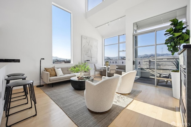 living room featuring a mountain view, a towering ceiling, rail lighting, and light hardwood / wood-style flooring