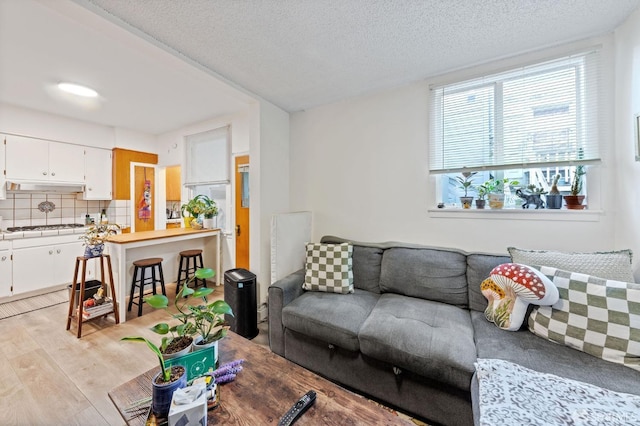 living area featuring a textured ceiling and light wood finished floors