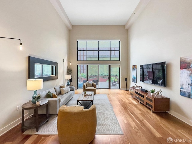 living room featuring wood-type flooring and a high ceiling