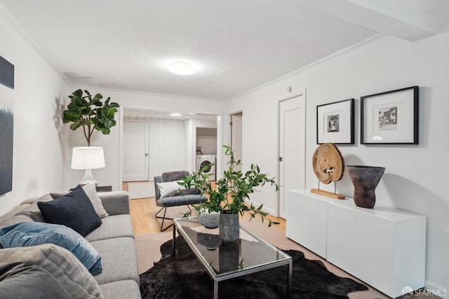 living room with crown molding, washer / dryer, and wood-type flooring