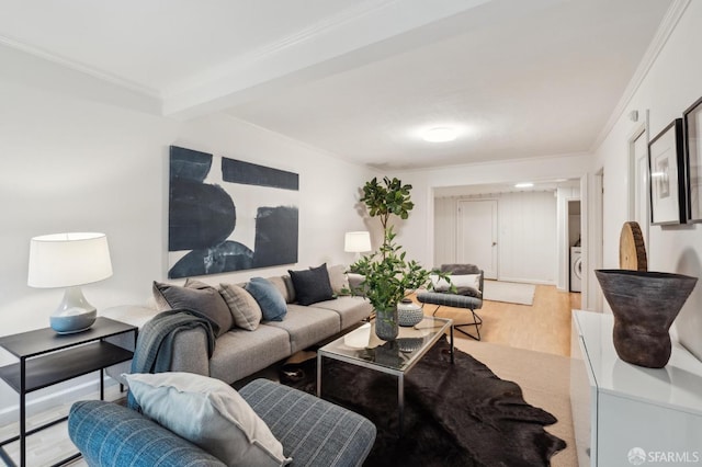 living room with crown molding and light hardwood / wood-style floors