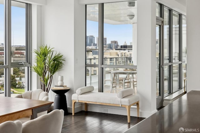 interior space with dark hardwood / wood-style flooring and a wall of windows