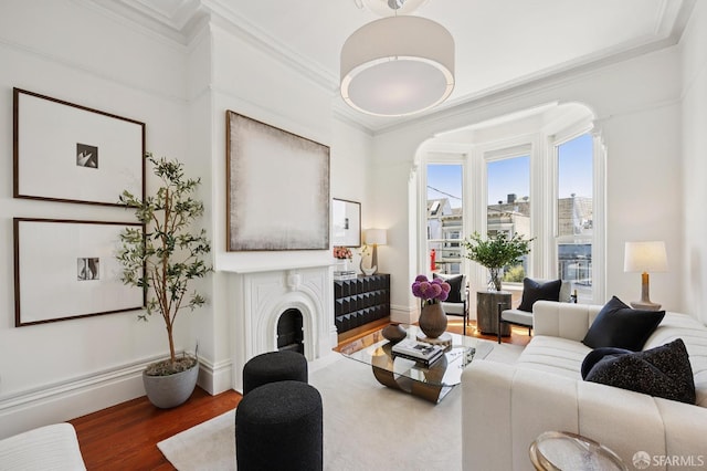 3470 20th St Unit 2, San Francisco, CA 94110 - living room featuring wood finished floors, crown molding, and a fireplace