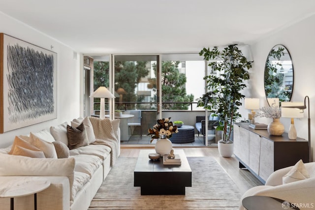 living room featuring light hardwood / wood-style floors