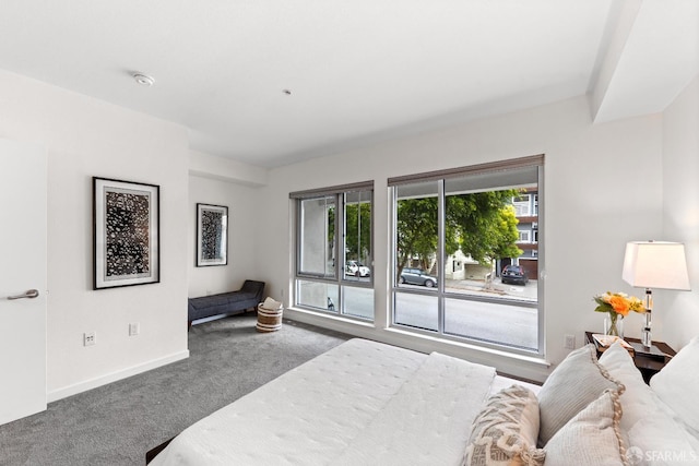 2655 Bush St Unit 119, San Francisco, CA 94115 - bedroom with carpet floors and baseboards