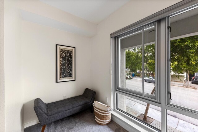 2655 Bush St Unit 119, San Francisco, CA 94115 - living area with carpet flooring and baseboards