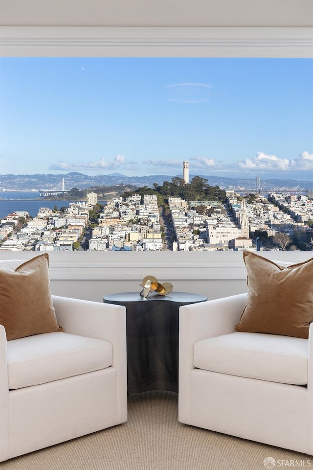 unfurnished room with light colored carpet and a city view