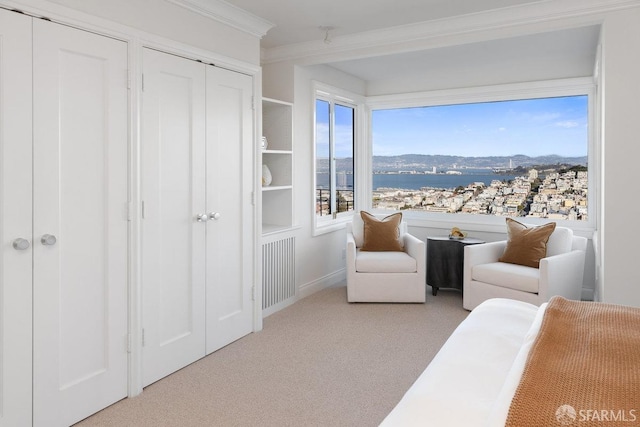 bedroom with light carpet, radiator heating unit, ornamental molding, a mountain view, and two closets