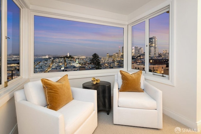 sitting room with a view of city, carpet, and baseboards