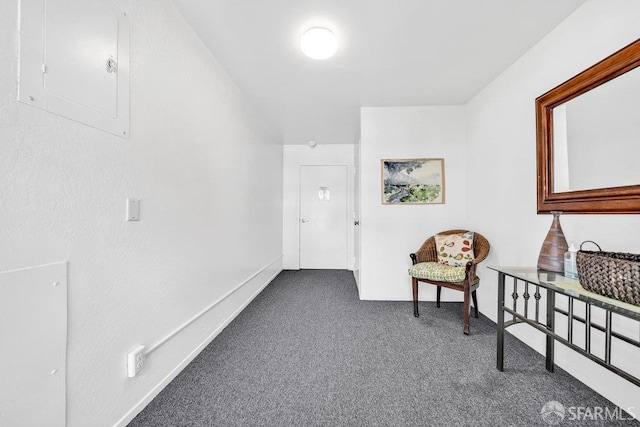 1315 Laguna St Unit 6, San Francisco, CA 94115 - corridor with electric panel, carpet floors, and baseboards