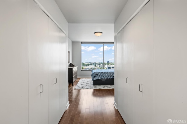 38 N Almaden Blvd Unit 1419, San Jose, CA 95110 - hallway featuring dark wood-type flooring, baseboards, and a wall of windows